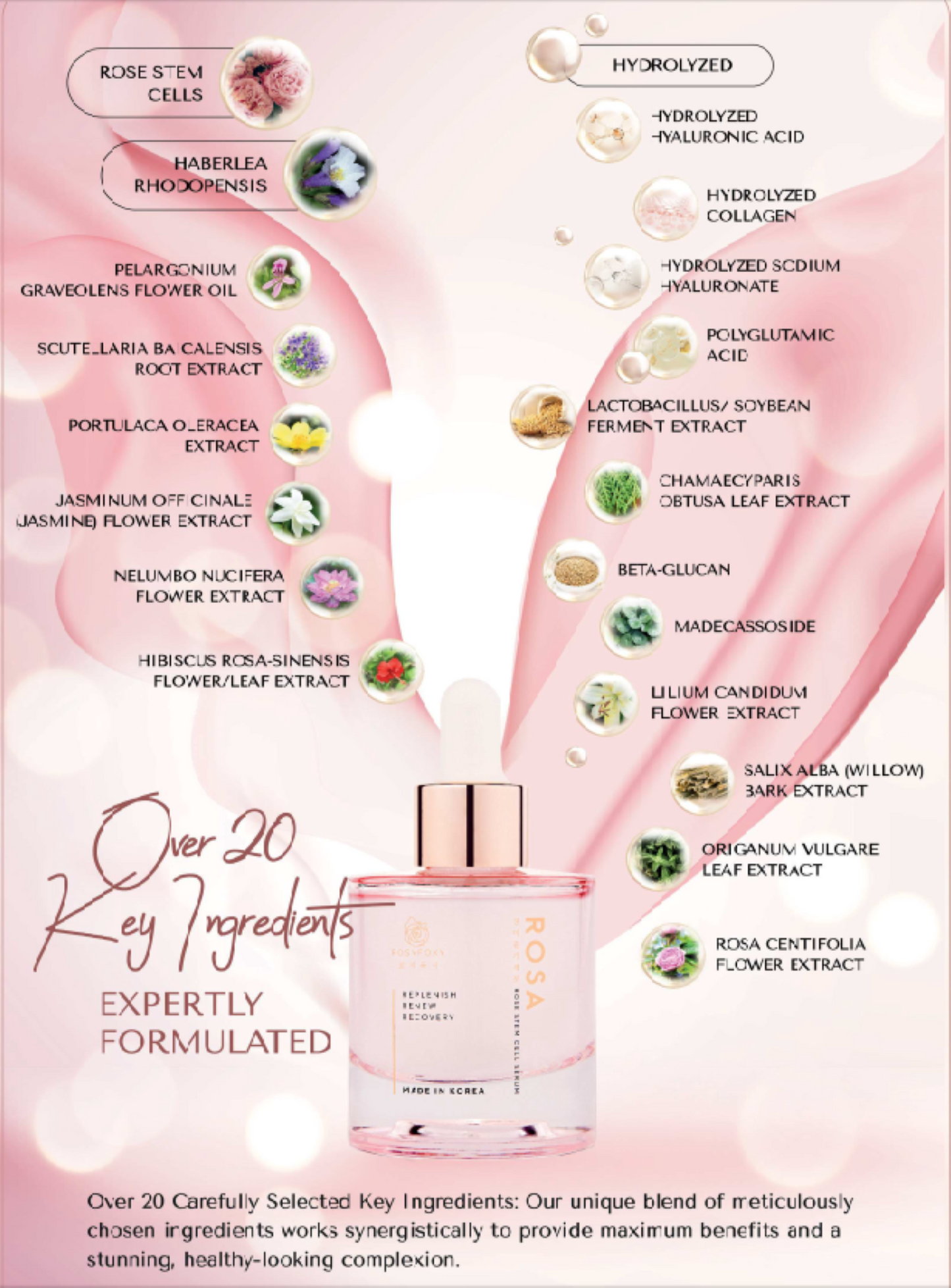 Rosy Foxy Rose Stem